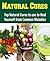 Natural Cures: Top Natural Cures to use to Heal yourself from Common Maladies: (Natural remedies, heal yourself, herbs)