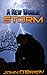 Storm (A New World, #10)