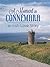 A Moment in Connemara: an Irish Love Story