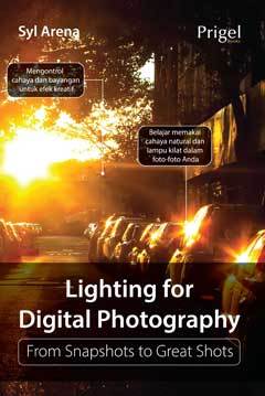 Lighting for Digital Photography: from Snapshots to Great Shots
