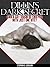 Dillin's Dark Secret (Dillin Books #1)