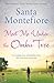 Meet Me Under the Ombu Tree by Santa Montefiore
