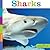 Sharks (Seedlings)