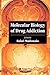 Molecular Biology of Drug Addiction by Rafael Maldonado
