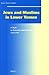 Jews and Muslims in Lower Yemen: A Study in Protection and Restraint, 1918-1949