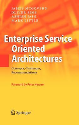 Enterprise Service Oriented Architectures: Concepts, Challenges, Recommendations