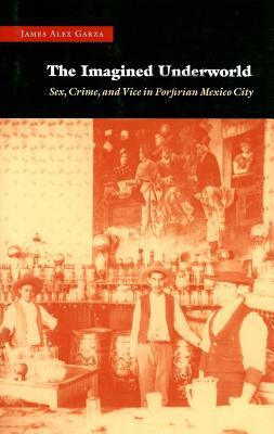 Imagined Underworld: Sex, Crime, and Vice in Porfirian Mexico City