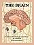 The Brain; An Introduction to Neurology