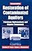 Restoration of Contaminated Aquifers: Petroleum Hydrocarbons and Organic Compounds, Second Edition