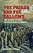 The Prison and the Gallows: Politics of Mass Incarceration in America (Cambridge Studies in Criminology)