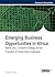 Emerging Business Opportunities in Africa: Market Entry, Competitive Strategy, and the Promotion of Foreign Direct Investments