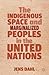 The Indigenous Space and Marginalized Peoples in the United Nations