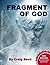 Fragment of God: The God Enigma Extended Edition