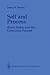 Self and Process: Brain Sta...