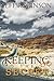 Keeping the Secret by Jeff Robinson