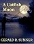 A Catfish Moon