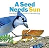 A Seed Needs Sun