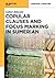 Copular Clauses and Focus M...