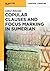 Copular Clauses and Focus Marking in Sumerian