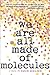 We Are All Made of Molecules by Susin Nielsen