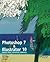 Photoshop 7 and Illustrator 10: Create Great Advanced Graphics