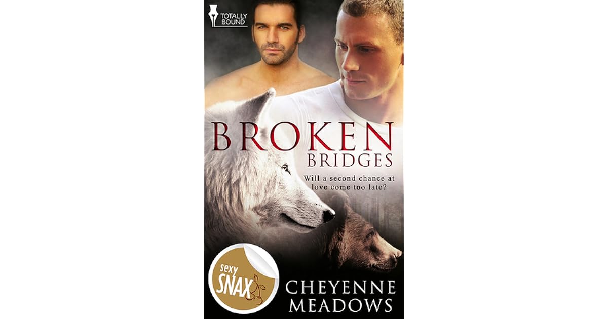 Broken Bridges by Cheyenne Meadows