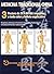 Canales y Puntos Acupunturales Estandarizados Graficos. Medicina Tradicional China. 3 posters de 56x86 cm impresos a todo color y folleto explicativo. (Spanish Edition)