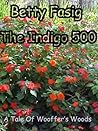 The Indigo 500 by Betty Fasig