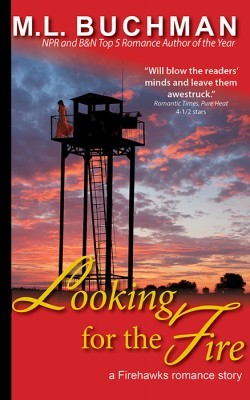 Looking for the Fire (Firehawks, #2.1)