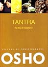 Tantra/Kabullenme Yolu by Osho