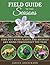 Field Guide to the Seasons