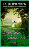Det du ikke ser by Katherine Webb