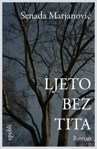 Ljeto bez Tita (ebook)