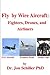 Fly by Wire Aircraft: Fight...