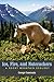 Ice, Fire, and Nutcrackers: A Rocky Mountain Ecology