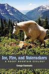 Ice, Fire, and Nutcrackers by George Constantz