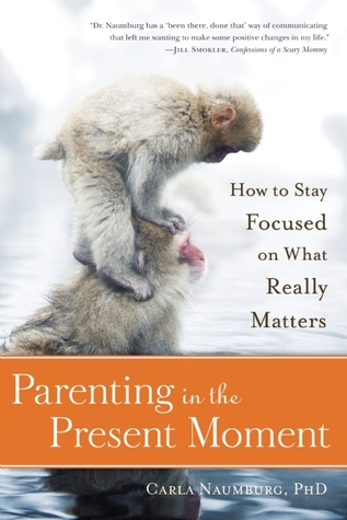 Parenting in the Present Moment: How to Stay Focused on What Really Matters (Paperback)