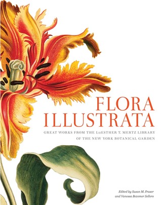 Flora Illustrata: Great Works from the LuEsther T. Mertz Library of The New York Botanical Garden (Hardcover)