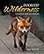 Doorstep Wilderness - A Wilder Side of Dublin