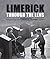 Limerick Through the Lens - Pictures from the Limerick Leader... by Alan English