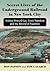 Secret Lives of the Underground Railroad in New York City: Sydney Howard Gay, Louis Napoleon and the Record of Fugitives