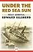 Under the Red Sea Sun by Edward Ellsberg