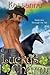 Lucky's Charm (Through the Veil, #1)