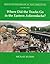 Mountain Railroads of New York State, Volume 3: Where Did the Tracks Go in the Eastern Adirondacks? (Mountain Railroads of New York State, #3)