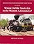 Mountain Railroads of New York State, Volume 1: Where Did The Tracks Go In The Western Adirondacks? (Mountain Railroads of New York State, #1)