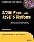 Scjd Exam with J2se 5