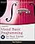 Stephens' Visual Basic Programming 24-Hour Trainer