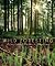 Wild Foresting