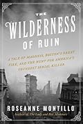 The Wilderness of Ruin: A Tale of Madness, Fire, and the Hunt for America's Youngest Serial Killer