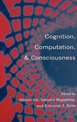 Cognition, Computation, and Consciousness (ebook)